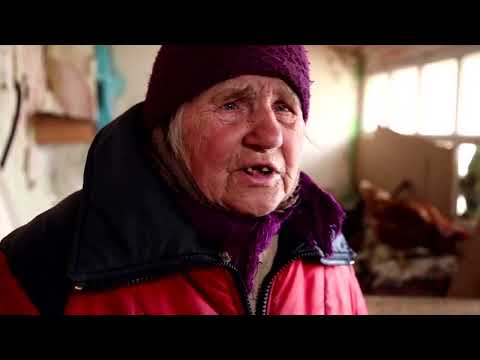 , title : 'Nenek asal Ukraina selamat, bersama ayam-ayamnya'