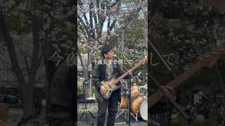 アンジェリーナ/佐野元春 #佐野元春