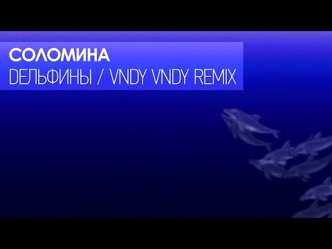 Соломина - Дельфины (Vndy Vndy Remix) Lyric Video