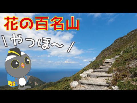 #53　神津島　天上山白島登山道