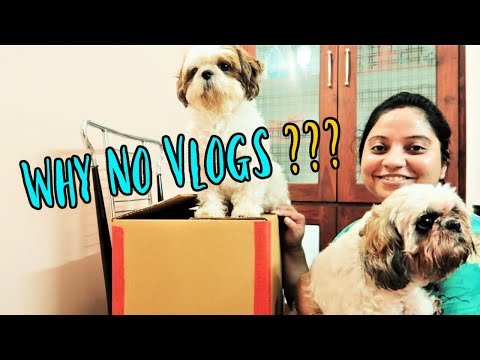 Why No new Vlog?? | Our Last Minute Shifting Update Video