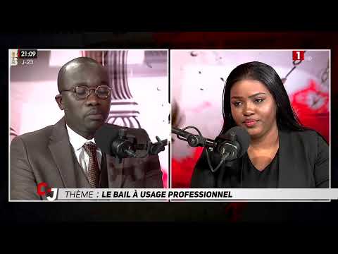 CHRONIQUE JUDICIAIRE / Thème : Le Bail à usage professionnel - MARDI 19 MAI 2026