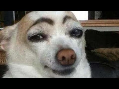 SI TE RIES PIERDES 99,999% IMPOSIBLE