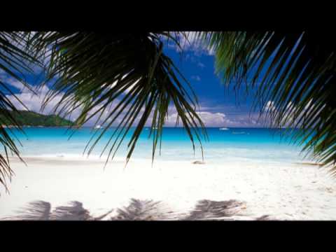 Lifescapes Pure Relaxation Lounge Music Club: Lounge Chillout Music Collection