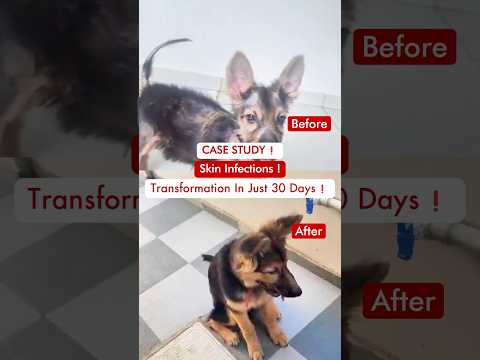 Joint Support Journey