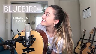 Bluebird- Miranda Lambert (Dani Arribere Cover)