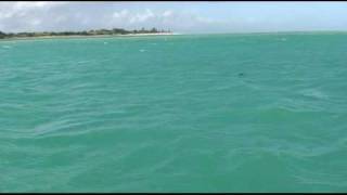 Ch 06 - Mozambique - Pangane & the Road North