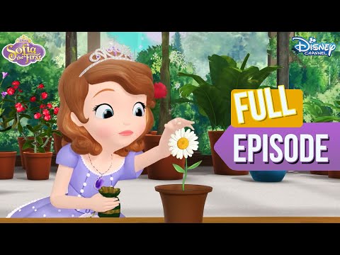 Sofia's florist adventures 🌷 | Sofia The First | S EP 16 | @disneyindia