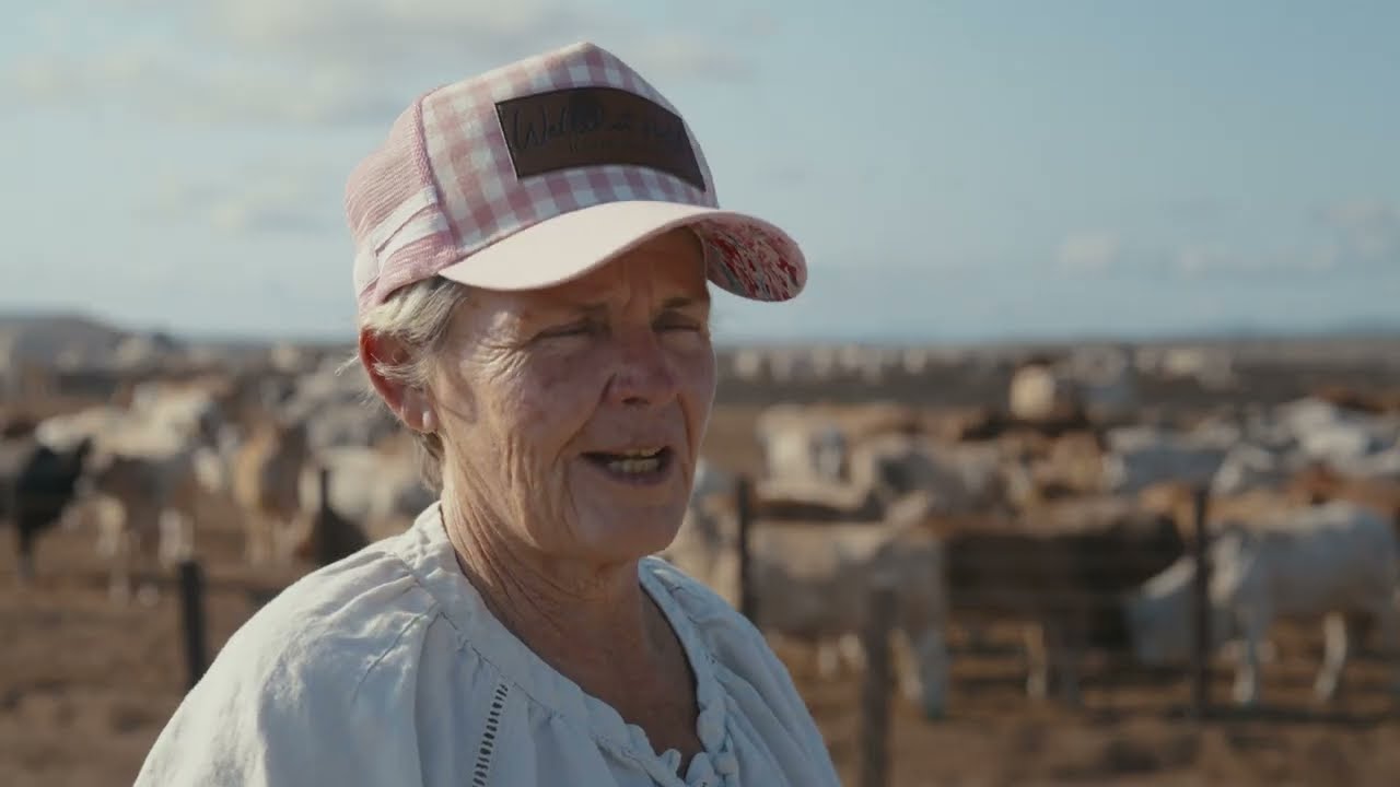 Gallagher Dingo Park - 3 min video