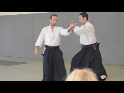 Vasilis Nykteris 5th Dan , Aikido training.Stay with the flow part 1.