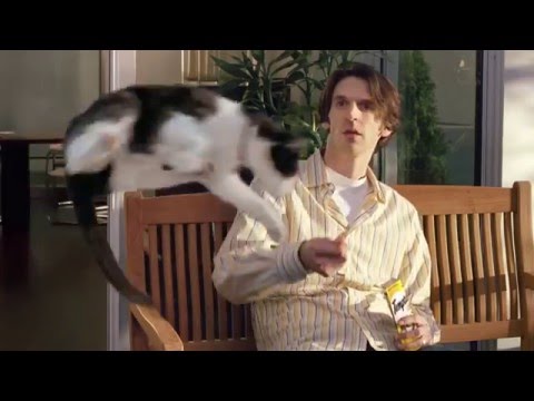 TEMPTATIONS® Treats for Cats | Price Chopper Furry Friends