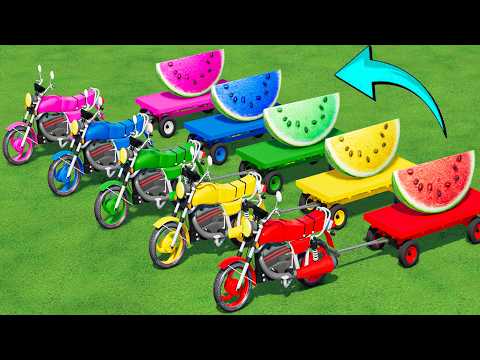 LOAD and TRANSPORT WaterMelon with BIG HONDA MOTORS & FLATBED TRAILER & CAT LOADERS! FS22