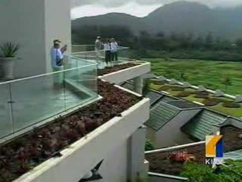 UH Experiments With Eco-Friendly Roofs