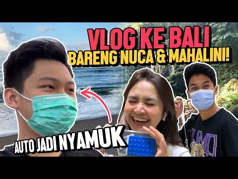 VLOG KE BALI BARENG NUCA & MAHALINI! AUTO JADI NYAMUK