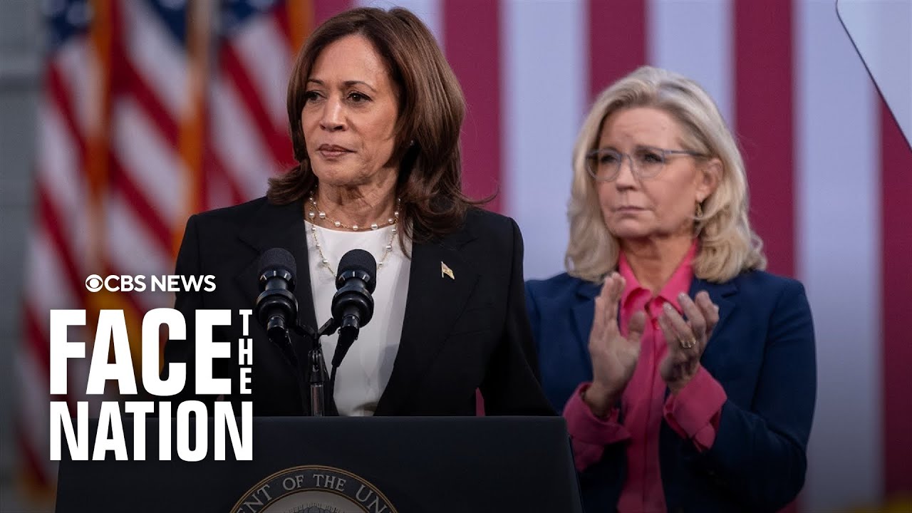 What Liz Cheney could bring to the Harris campaign