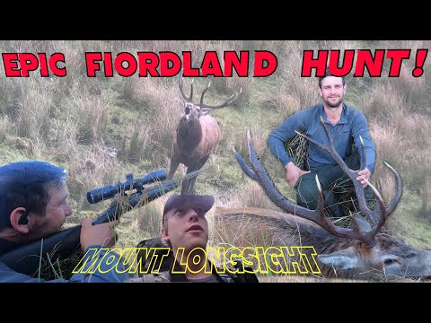 Fiordland Wapiti Hunt Mt Longsight