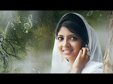 download lagu mp3 mp4 Rajeev Ram Wedding, download lagu Rajeev Ram Wedding gratis, unduh video klip Rajeev Ram Wedding
