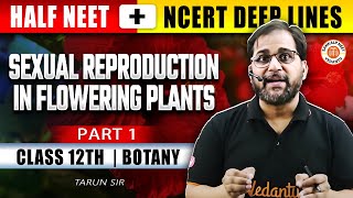 SEXUAL REPRODUCTION IN FLOWERING PLANTS CLASS 12 | ALL CONCEPTS & THEORY | NEET 2025 | BY TARUN SIR