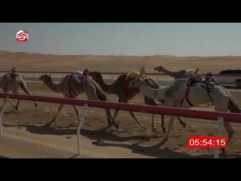 ش 4 (عديم) لـ سليم سهيل بالاسود العامري 13:48:60 , شارة الديوان 2026/2/22 حول زمول الوقن