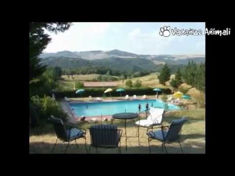 BioAgriturismo Orgiaglia-(PI)