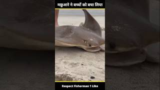 Download lagu MACHWARE NE❔🐠🐋🐟fishing ko bchaya😀 mp3