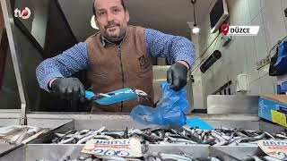 Karadeniz'de Hamsi Yerini İstavrite Bıraktı