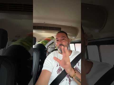 Apia Risaralda 😂🤣🤣😂🤣🤣