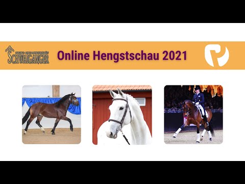 Online Hengstschau Landgestüt Schwaiganger 2021