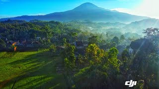 Download lagu Sound Effect Suara Alam || nocopyrightsound mp3