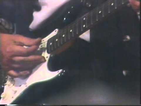 Drvosječa - Crveni koralji live