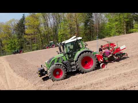Ein neuer Weinberg entsteht - Reben maschinell pflanzen - Kiefer & Sester