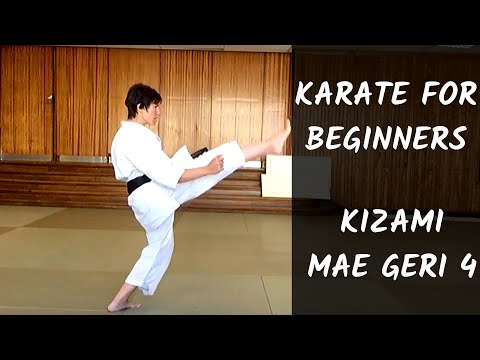 Karate for Beginners #45 - Kizami Mae Geri - Mae Geri with punch techniques SLOWLY.