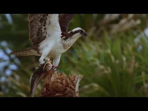 Mos u trishto - Ndalu me mua, lutja e zjarrtë dhe e vërtetë - 08