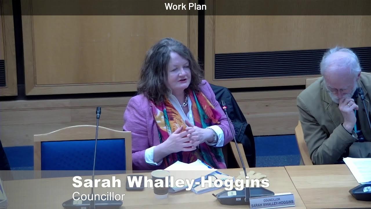 Overview and Scrutiny Committee - 10 January 2025