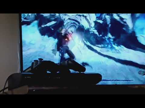 johnsonfamily (Nero) vs bella the wolf ( vergil)