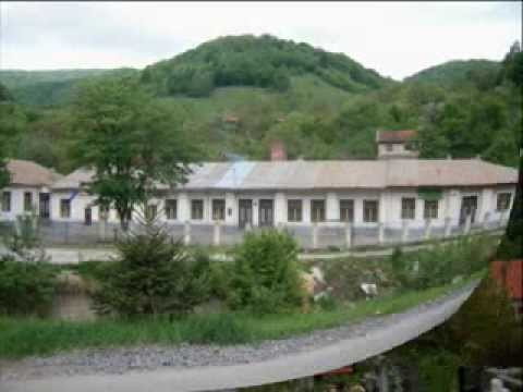 Rusca Montana ( Ruskberg ) 2008-2009