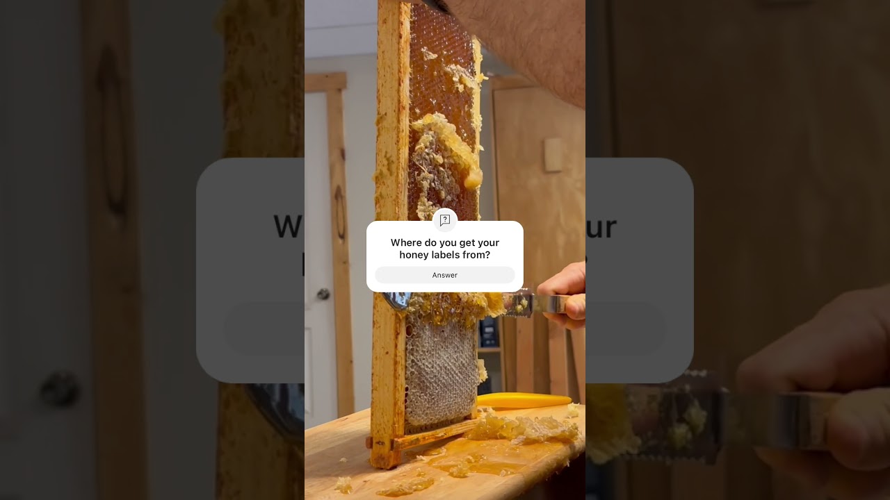 Where do you get your honey jar labels from? #honey #ytshorts #farming #beekeeping #indiana