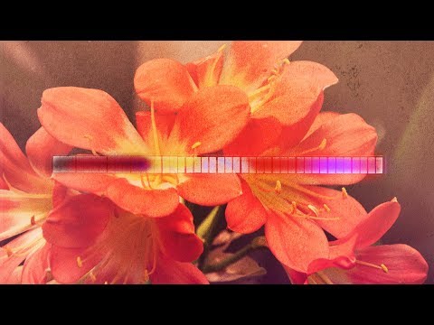Aeron Aether - Florescence [Silk Music]