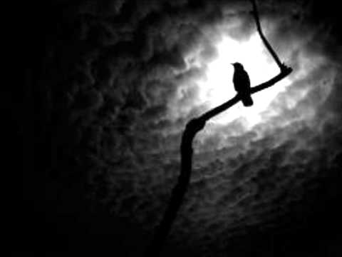 Cryptic Wintermoon-Darkness Forever