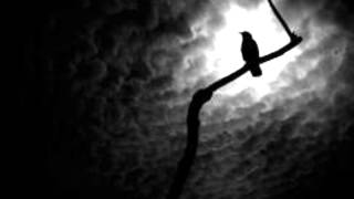 Cryptic Wintermoon-Darkness Forever