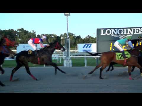 221218 c09 PAPILLOTAGE