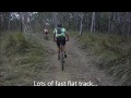 RRR Race Cairns 2012 