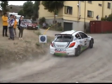 1° Rally dell'Emilia 2013