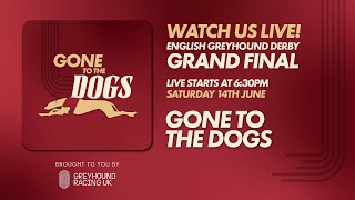 Gone to the Dogs - Live!  Derby Studio Show  - Grand Final - 14th June