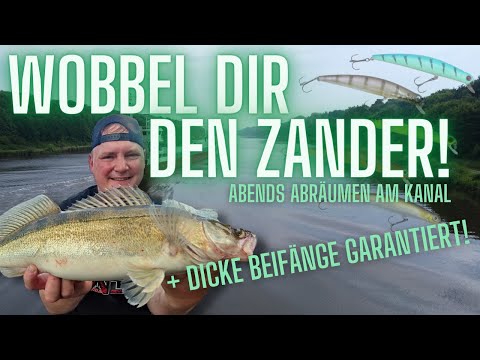 How to catch zander with a lure! 24 hours on the Kiel Canal with big surprises.