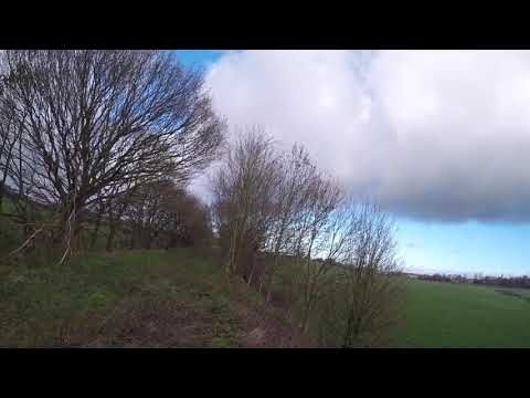 Harris hawk hunting rabbits and pheasants 2018