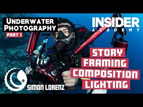 Underwater Photography - Part 1 - Story, Framing, Composition & Lighting