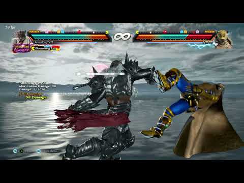 Max CHSS4 Damage? - Combo Challenge!