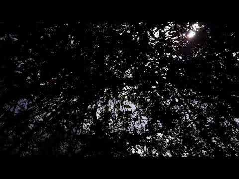 "VOYAGE OF NATURE BY MIDHUN MADHUSOODANAN" Trailer