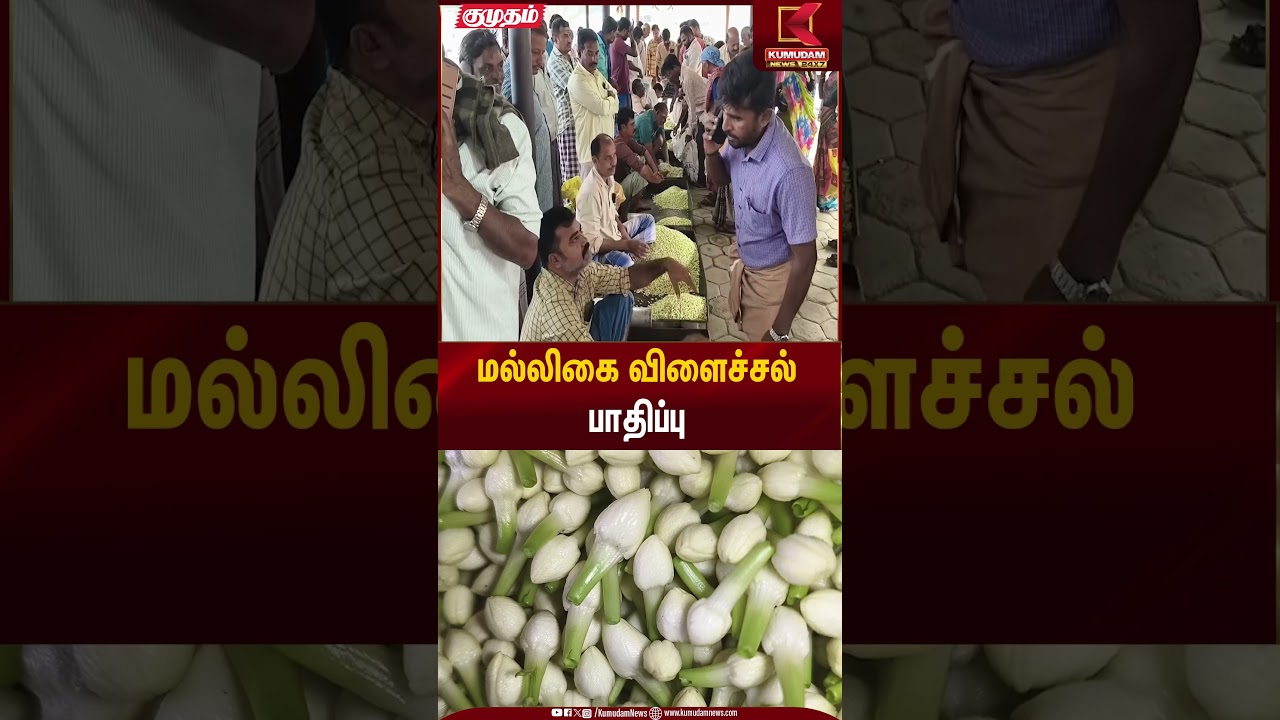 Jasmine Flower Price | மல்லிகை விளைச்சல்பாதிப்பு | Kumudam News